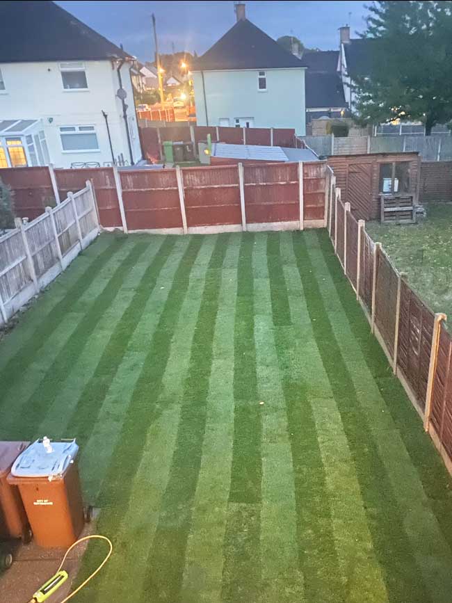 lawn laying